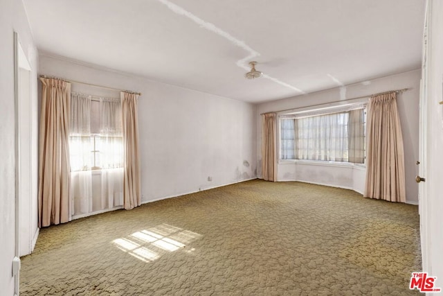 carpeted spare room with plenty of natural light