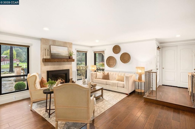 living room with wood-type flooring, a wealth of natural light, and a fireplace