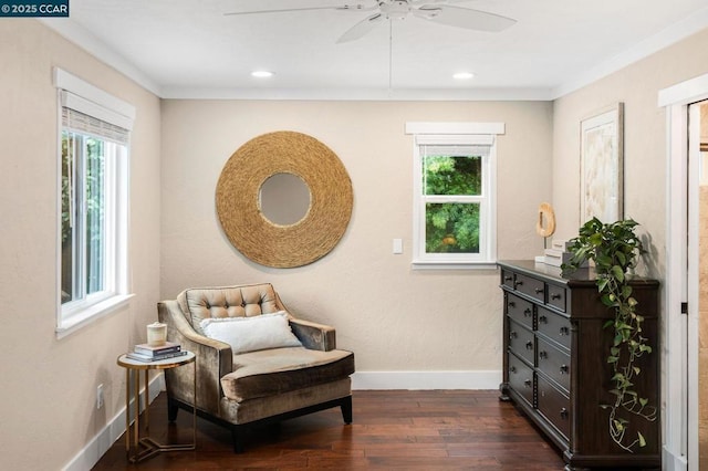 living area with ceiling fan, plenty of natural light, and dark hardwood / wood-style flooring