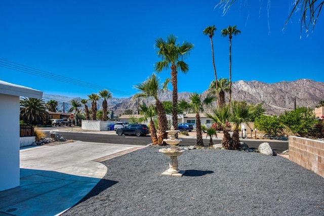 view of yard featuring a mountain view