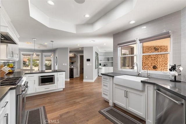 kitchen with white cabinetry, appliances with stainless steel finishes, a tray ceiling, and sink