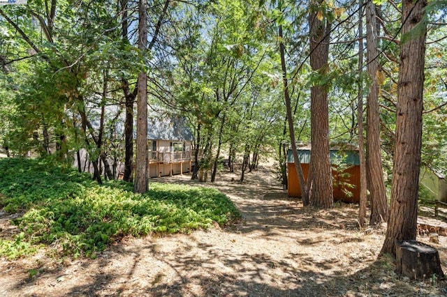 view of yard featuring a storage shed