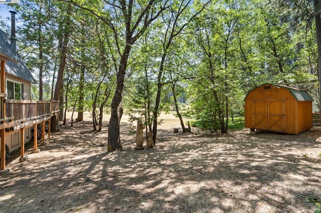 view of yard with a storage shed