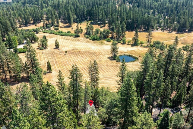 bird's eye view featuring a rural view