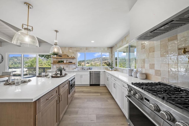 kitchen featuring wall chimney exhaust hood, decorative backsplash, white cabinets, appliances with stainless steel finishes, and sink