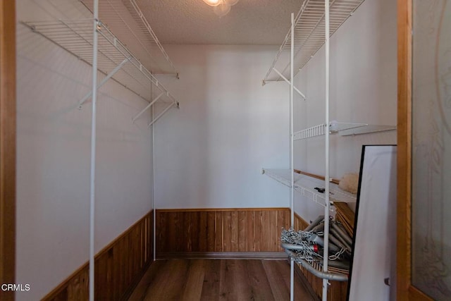 spacious closet with hardwood / wood-style floors