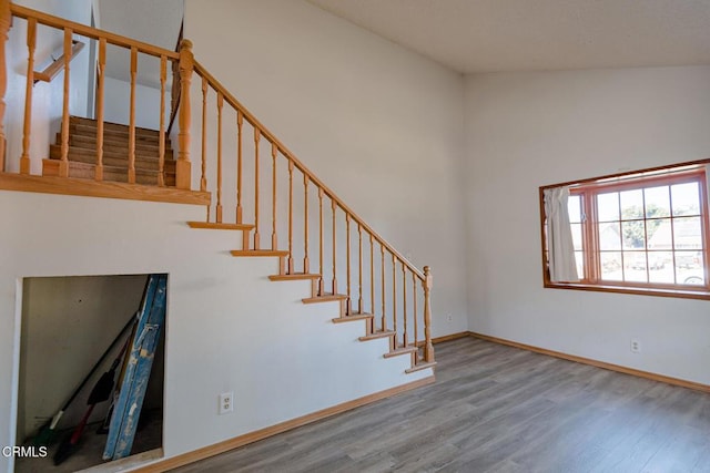 staircase with hardwood / wood-style floors