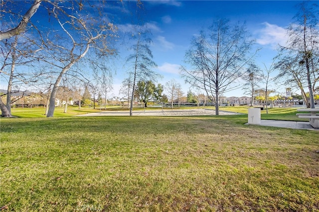 view of yard featuring volleyball court