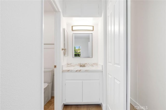 bathroom with toilet and vanity