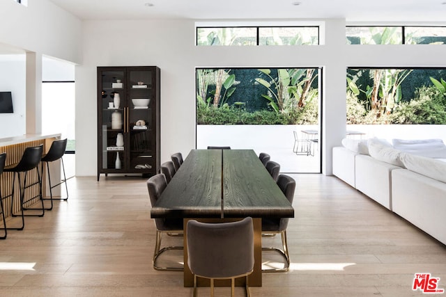 dining space featuring light hardwood / wood-style floors