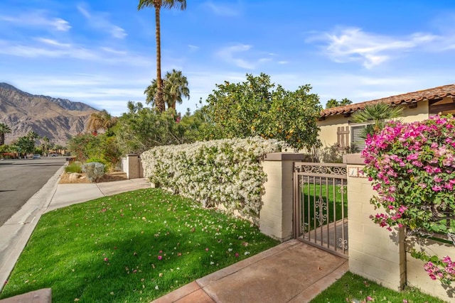 exterior space with a mountain view and a yard