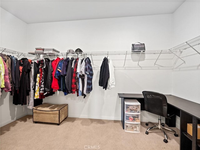 walk in closet featuring light carpet