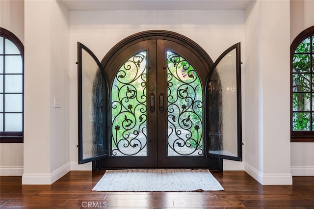 foyer entrance featuring dark hardwood / wood-style flooring, a wealth of natural light, and french doors