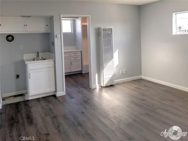 interior space featuring sink and dark hardwood / wood-style floors