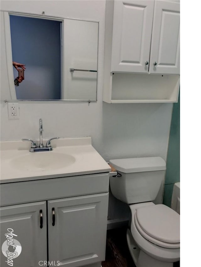 bathroom with vanity, toilet, and a bath