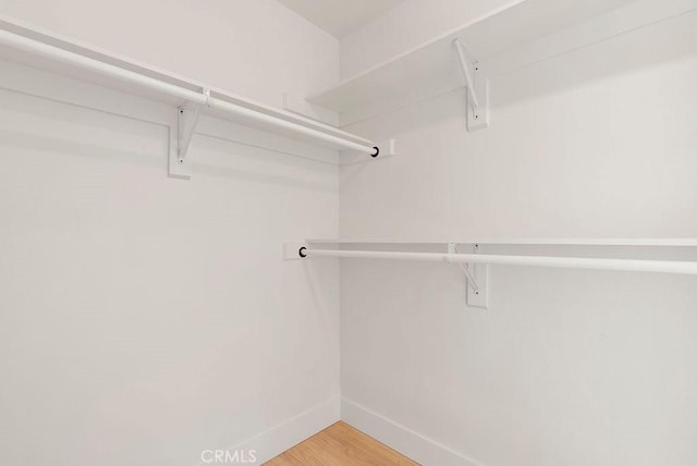 walk in closet with hardwood / wood-style flooring