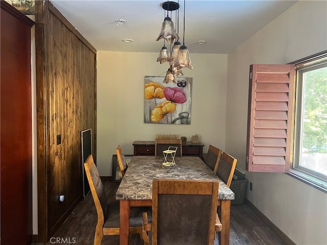 dining space with dark hardwood / wood-style floors and plenty of natural light