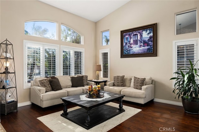 living room featuring dark wood-type flooring