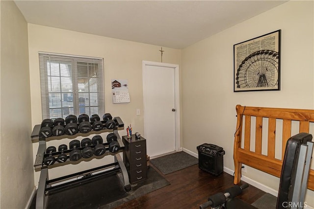 workout room featuring dark hardwood / wood-style flooring