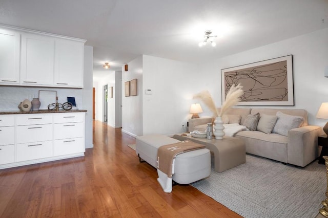 living room with light hardwood / wood-style flooring