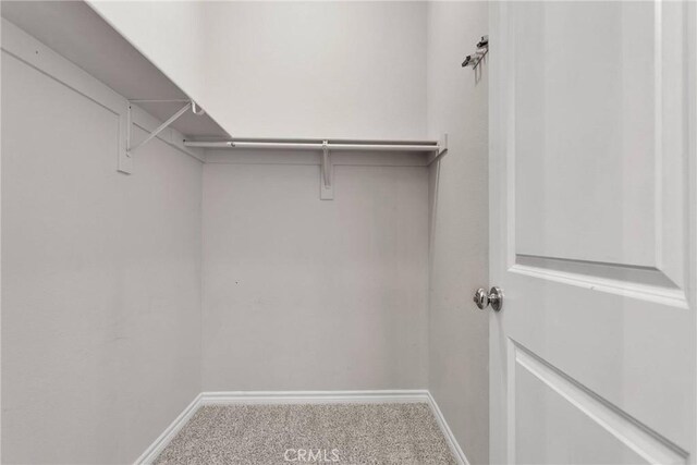 walk in closet featuring carpet flooring