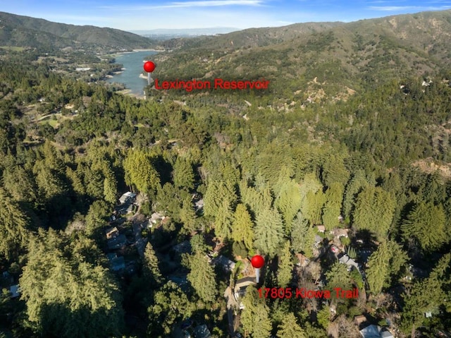 birds eye view of property featuring a mountain view