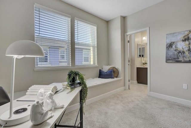 sitting room featuring carpet flooring