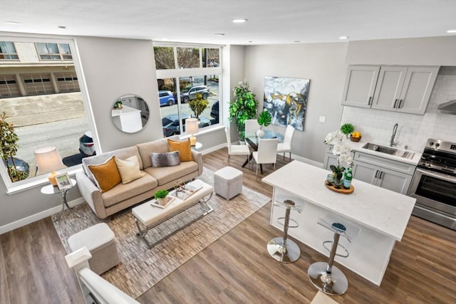 living room featuring sink and hardwood / wood-style floors