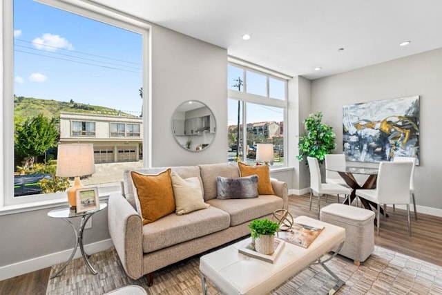 living room with hardwood / wood-style flooring