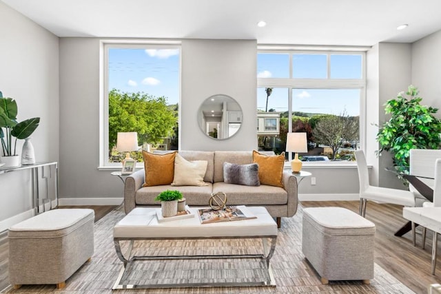 living room with wood-type flooring