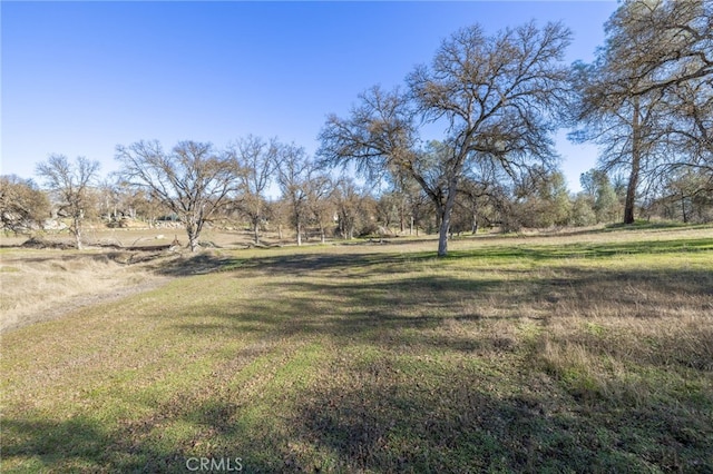 view of yard with a rural view