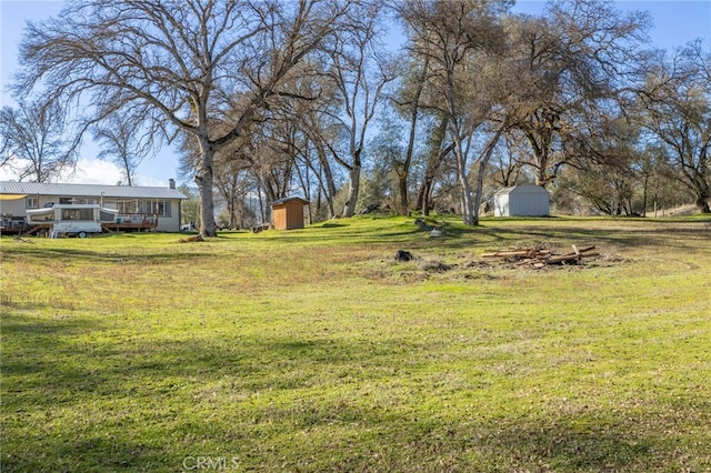 view of yard featuring a shed