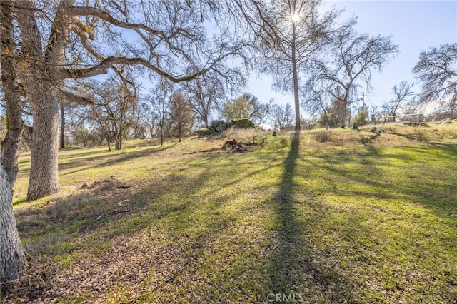 view of yard featuring a rural view