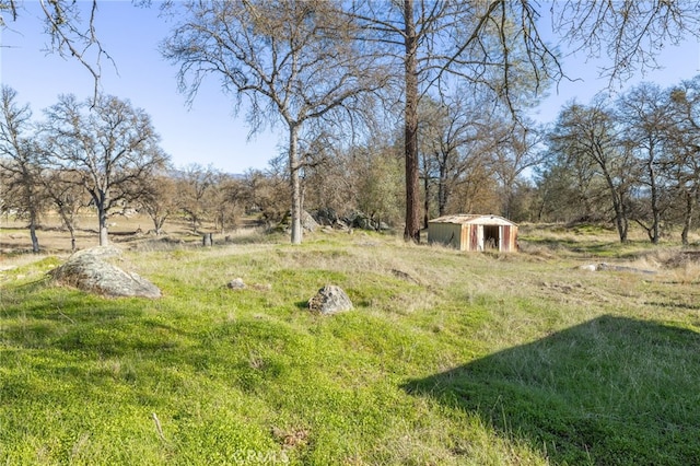 view of yard with a rural view and a storage unit