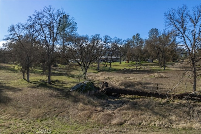 view of nature with a rural view