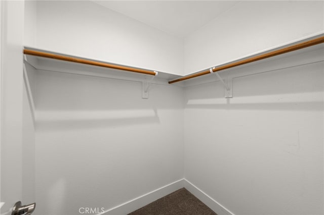 walk in closet with carpet flooring