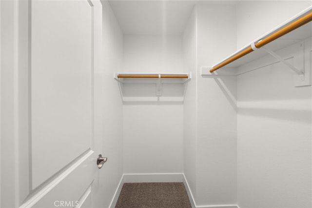 spacious closet with carpet