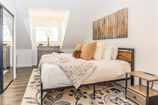 bedroom with multiple windows, a closet, and dark hardwood / wood-style floors