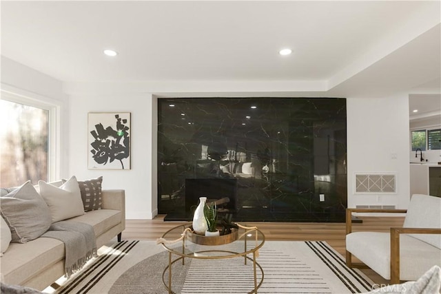 living room with a high end fireplace, wood-type flooring, and sink