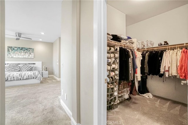 walk in closet with ceiling fan and carpet floors