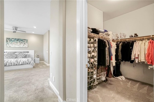 spacious closet featuring carpet and a ceiling fan