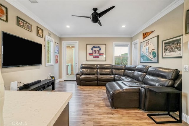 living room featuring light wood-type flooring, ceiling fan, and crown molding