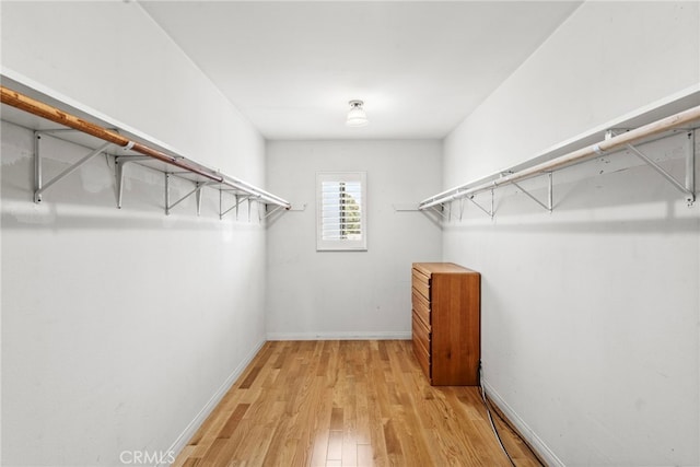 walk in closet with light hardwood / wood-style floors