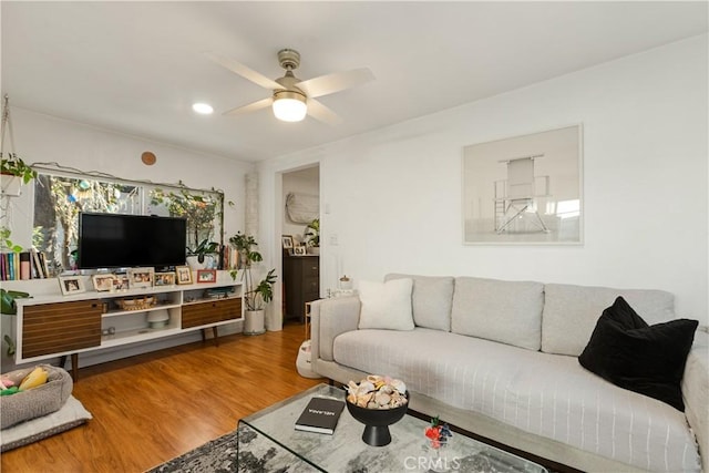 living room with ceiling fan and hardwood / wood-style floors