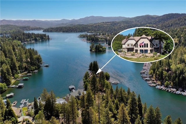 birds eye view of property with a water and mountain view