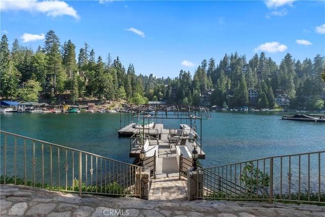 dock area with a water view