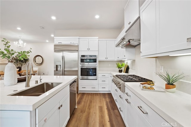 kitchen with white cabinetry, sink, stainless steel appliances, and ventilation hood