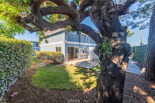 back of house featuring a yard and a patio