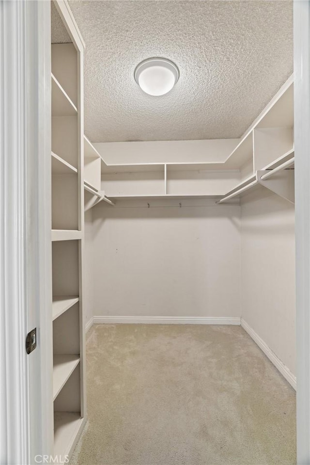 spacious closet with carpet flooring