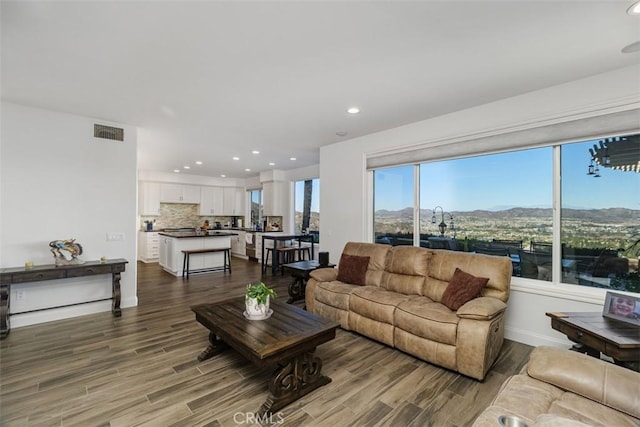 living room featuring hardwood / wood-style floors